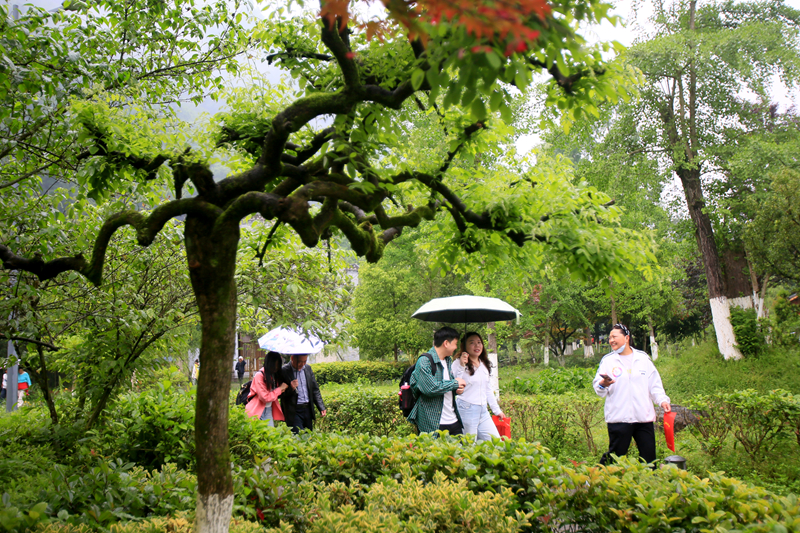 打卡黃龍洞！初夏雨后，清新綠意太治愈